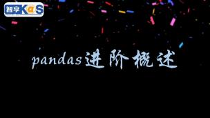 Pandas进阶概述